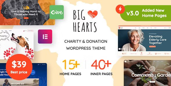 BigHearts-Charity-Donation-WordPress-Theme.jpg