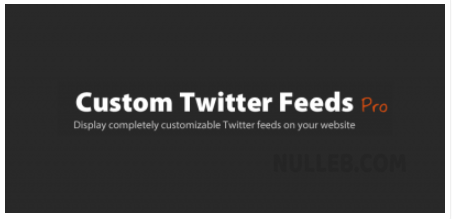 Custom-Twitter-Feeds-Pro-Twitter-News-Feed-for-WordPress.png