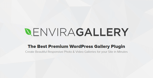 envira-gallery.png