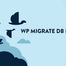 WP Migrate DB Pro